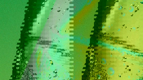 image Experience More B4ay